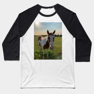 Horse Baseball T-Shirt